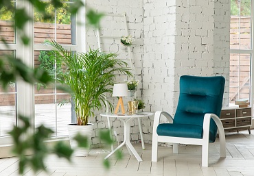 Кресла Кресло "Ладога-2" Зеленый Белый каркас - купить в интернет-магазине GreenTree